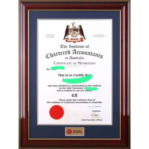 Buy Chartered Accountant (CA) Certificate online without exams